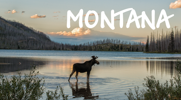 montana