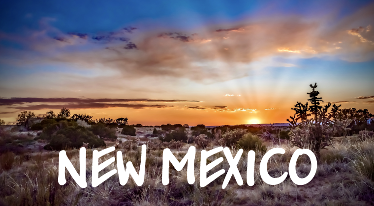new-mexico