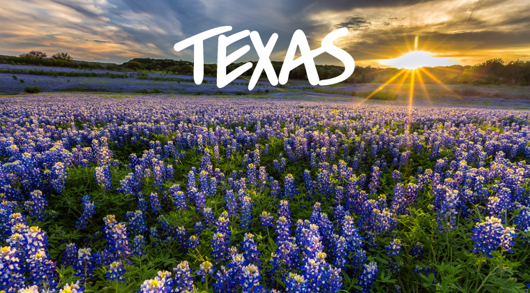 texas