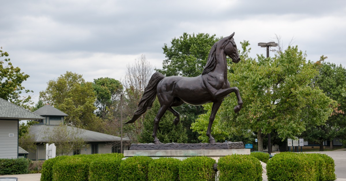 A horse statue found in Lexington Kentucky