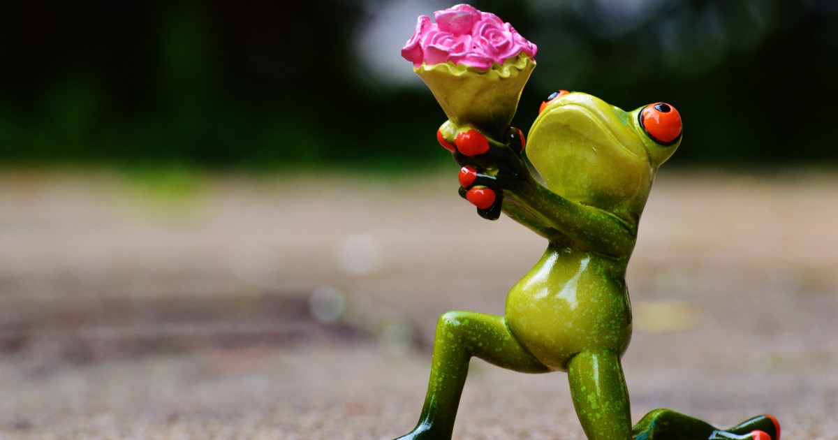 A clay frog figurine on one knee with a dozen roses held high